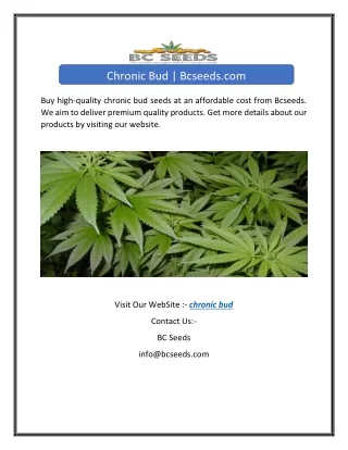 chronic bud bcseeds com