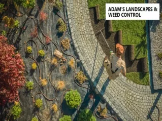 landscape design & installation