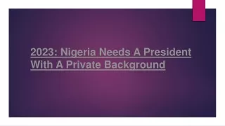 2023: Nigeria Needs A President With A Private Background