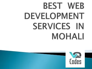 Web Development Services in Mohali