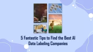5 fantastic tips to find the best ai data