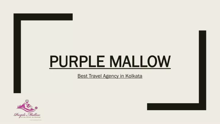 purple mallow
