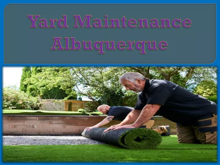 yard maintenance albuquerque