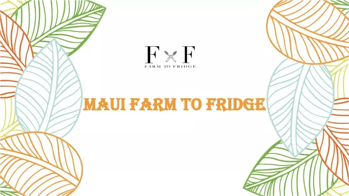 maui farm to fridge