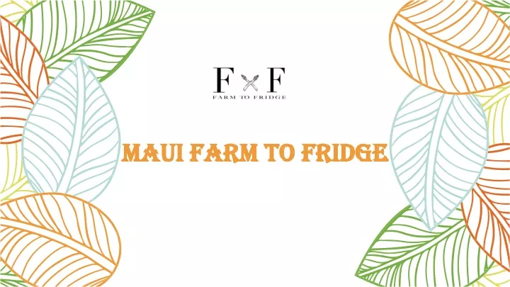 maui farm to fridge maui farm to fridge