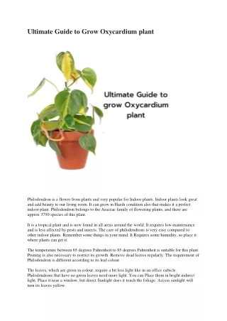 Ultimate Guide to Grow Oxycardium plant