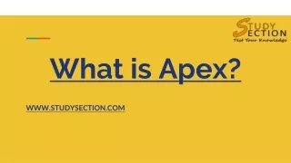 What is Apex?