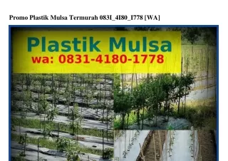 Promo Plastik Mulsa Termurah O8ᣮI·4I8O·Iᜪᜪ8[WhatsApp]