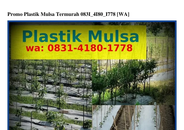 promo plastik mulsa termurah 083i 4i80 i778 wa