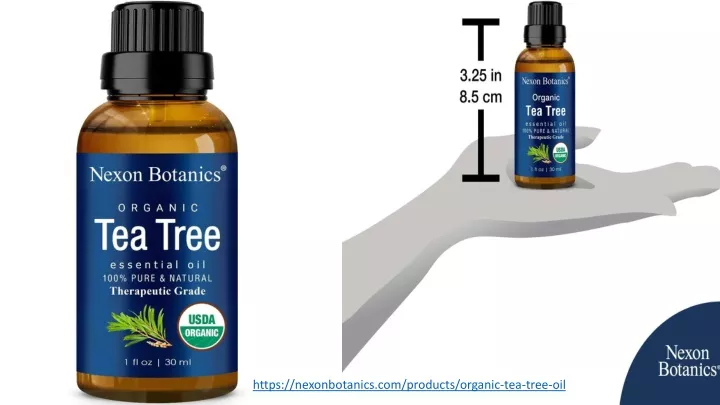 https nexonbotanics com products organic tea tree