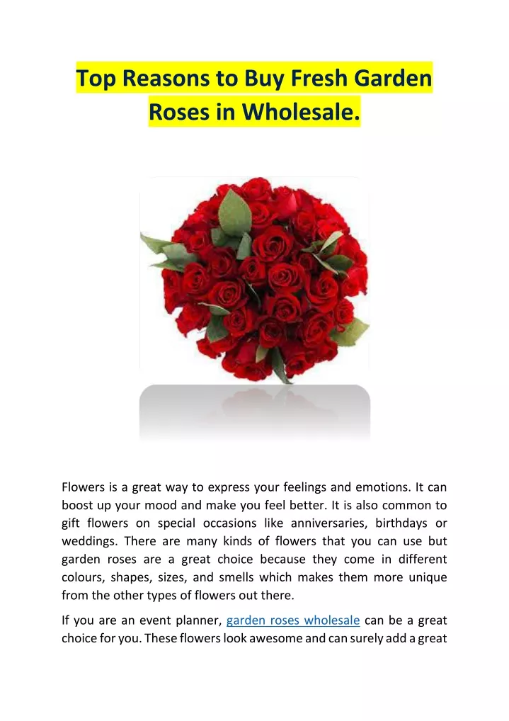 top reasons to buy fresh garden roses in wholesale