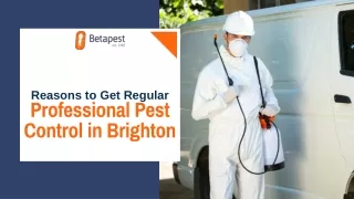 Reasons to Get Regular Professional Pest Control in Brighton