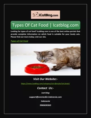 Types Of Cat Food | Icatblog.com