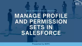 bulk object fiield creator manage profile