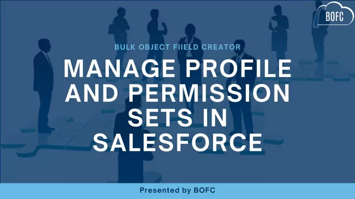 bulk object fiield creator manage profile