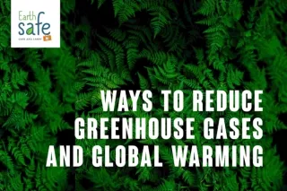 Ways to Reduce Greenhouse Gases and Global Warming | Decrease Global Warming