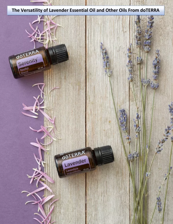the versatility of lavender essential