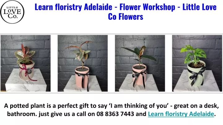 learn floristry adelaide flower workshop little