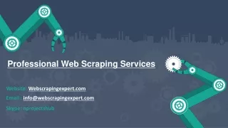 Professional Web Scraping Services