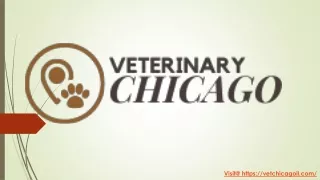 visit@ https vetchicagoil com