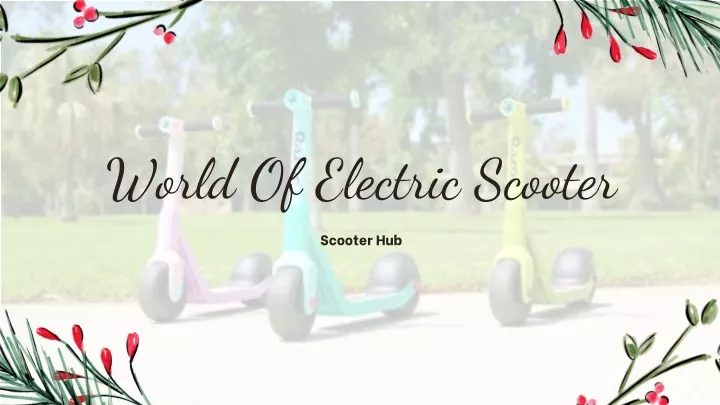 world of electric scooter