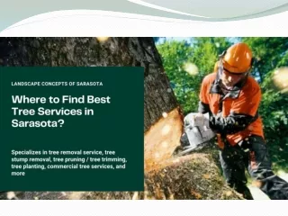 Where to Find Best Tree Services in Sarasota?