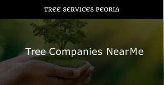 Looking for ‘Tree Companies Near Me’ Visit Peoria Trees