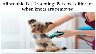 Affordable Pet Grooming Pets feel different when knots are removed
