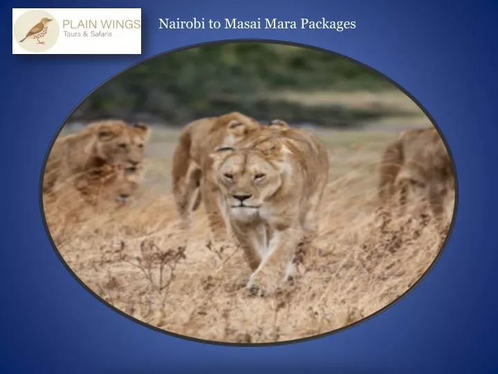 nairobi to masai mara packages