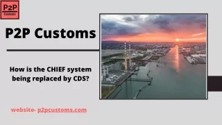 How is the CHIEF system being replaced by CDS