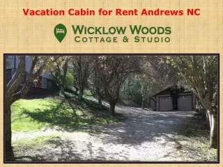 Vacation Cabin for Rent Andrews NC