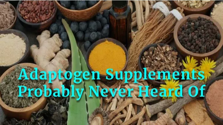 adaptogen supplements probably never heard of