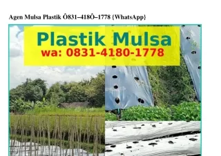 Agen Mulsa Plastik Ö8౩1~418Ö~1778[WA]Agen Mulsa Plastik (2)