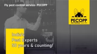 Fly pest control service - PECOPP