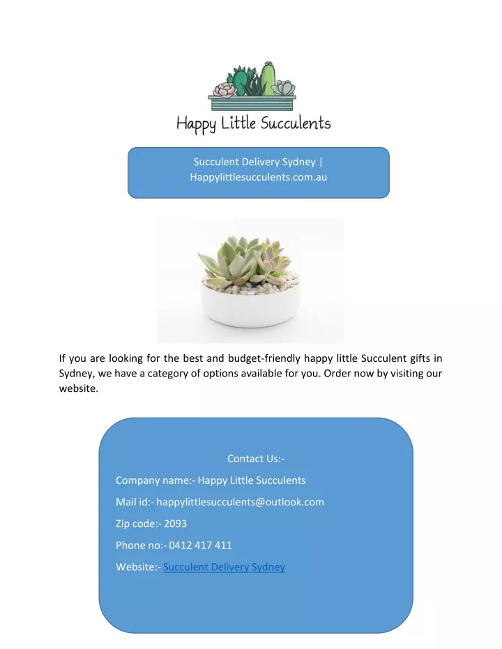 succulent delivery sydney happylittlesucculents