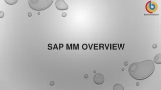 SAP MM pdf