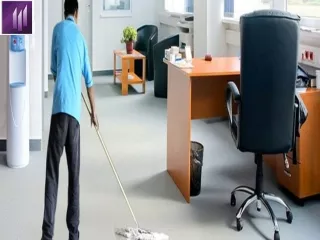 Professional Cleaning Service To Suit Your Personality