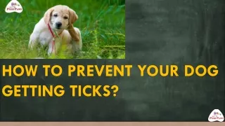 HOW TO PREVENT YOUR DOG GETTING TICKS