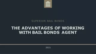superior bail bonds