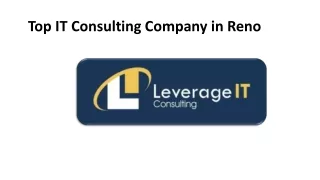 top it consulting company in reno