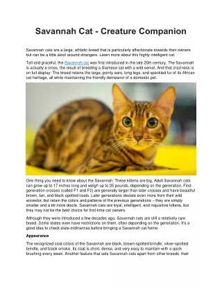 savannah cat creature companion