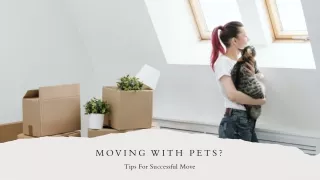 Moving With Pets? 6 Tips For Successful Move