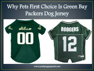 Why Pets First Choice Is Green Bay Packers Dog Jersey
