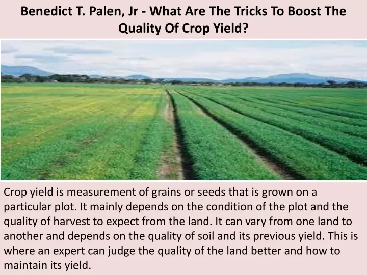 benedict t palen jr what are the tricks to boost the quality of crop yield