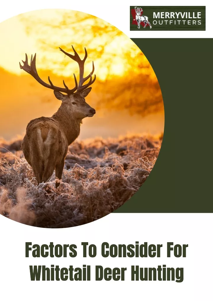 factors to consider for factors to consider
