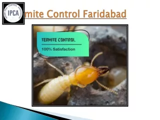 Termite Control Faridabad