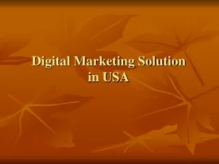 digital marketing solution in usa