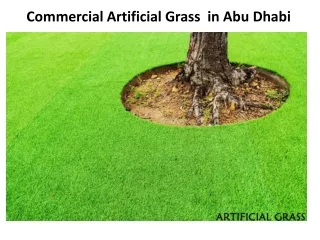 Commercial Artificial Grass in Dubai