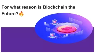 For what reason is blockchain the future ?!