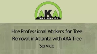 Hire Professional Workers for Tree Removal in Atlanta with AKA Tree Service